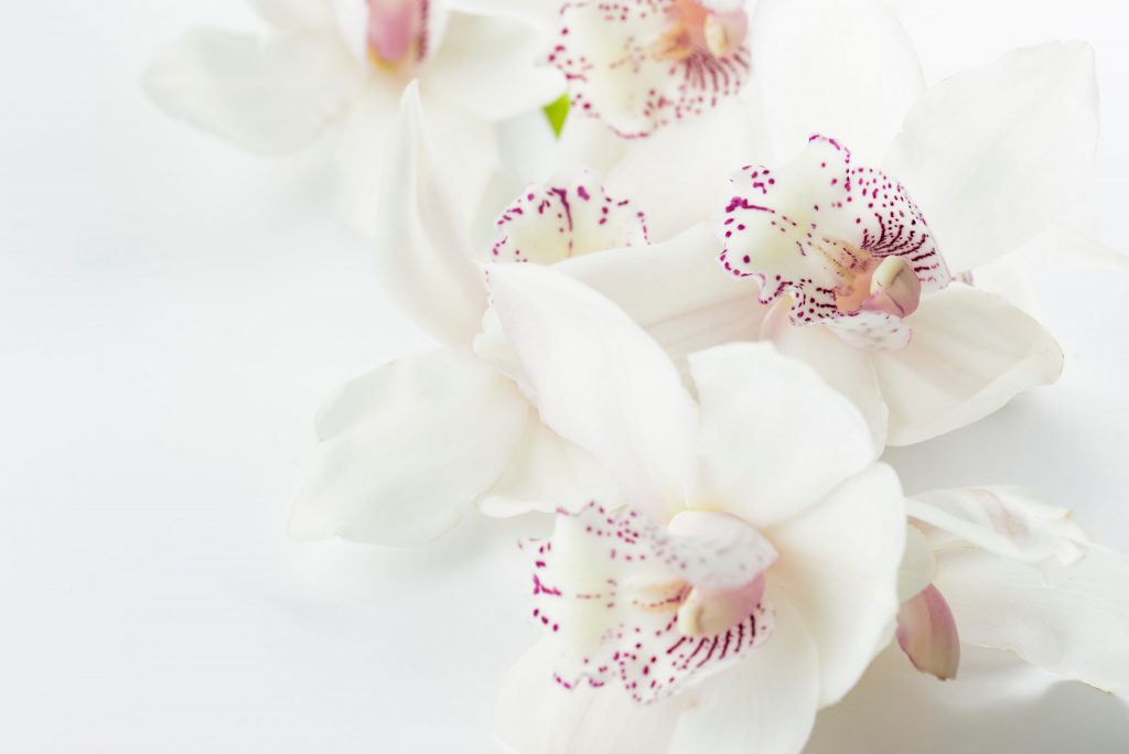 Reiki for relationships