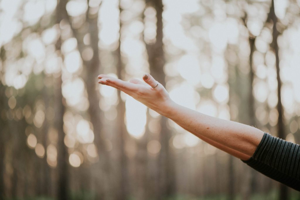 Melbourne Reiki and Wellness