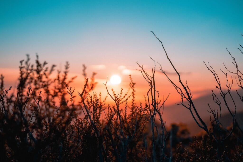 Self-Reiki requires self-discipline