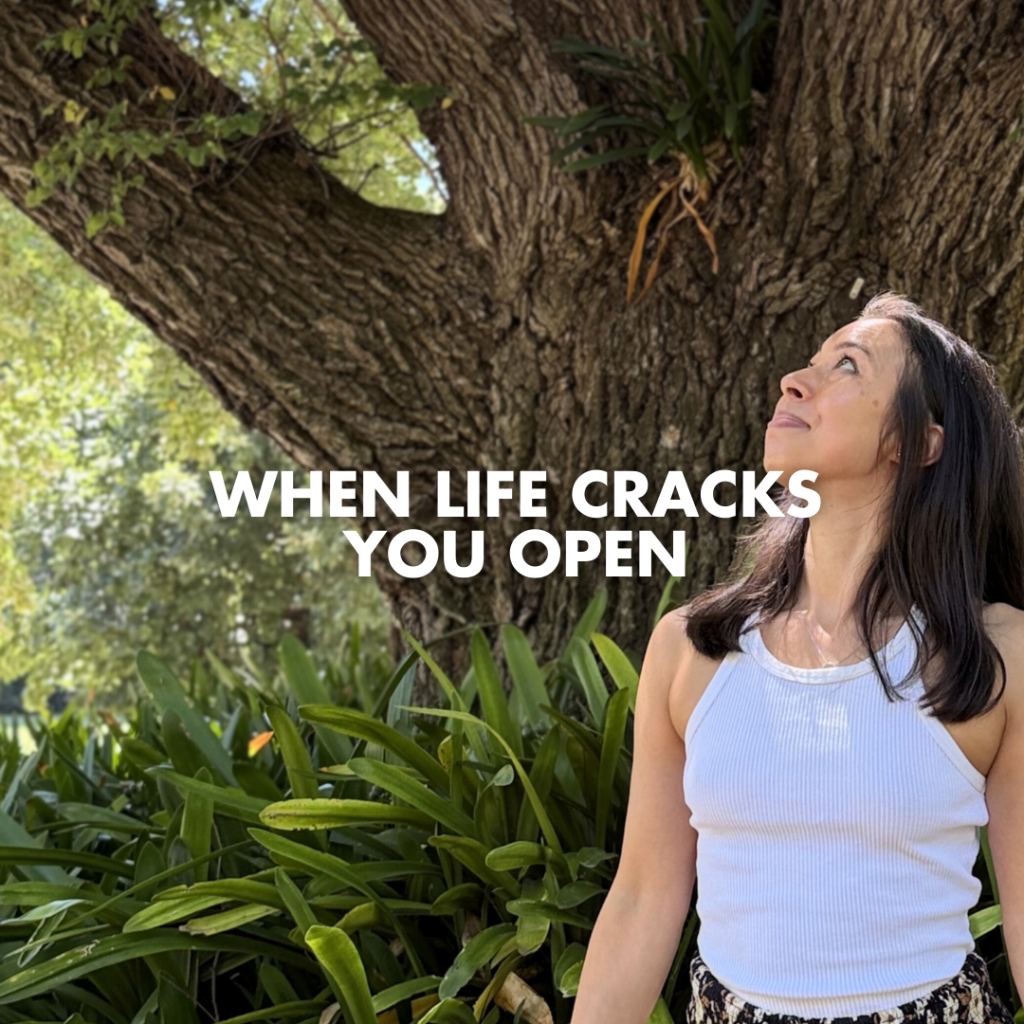 When Life Cracks You Open